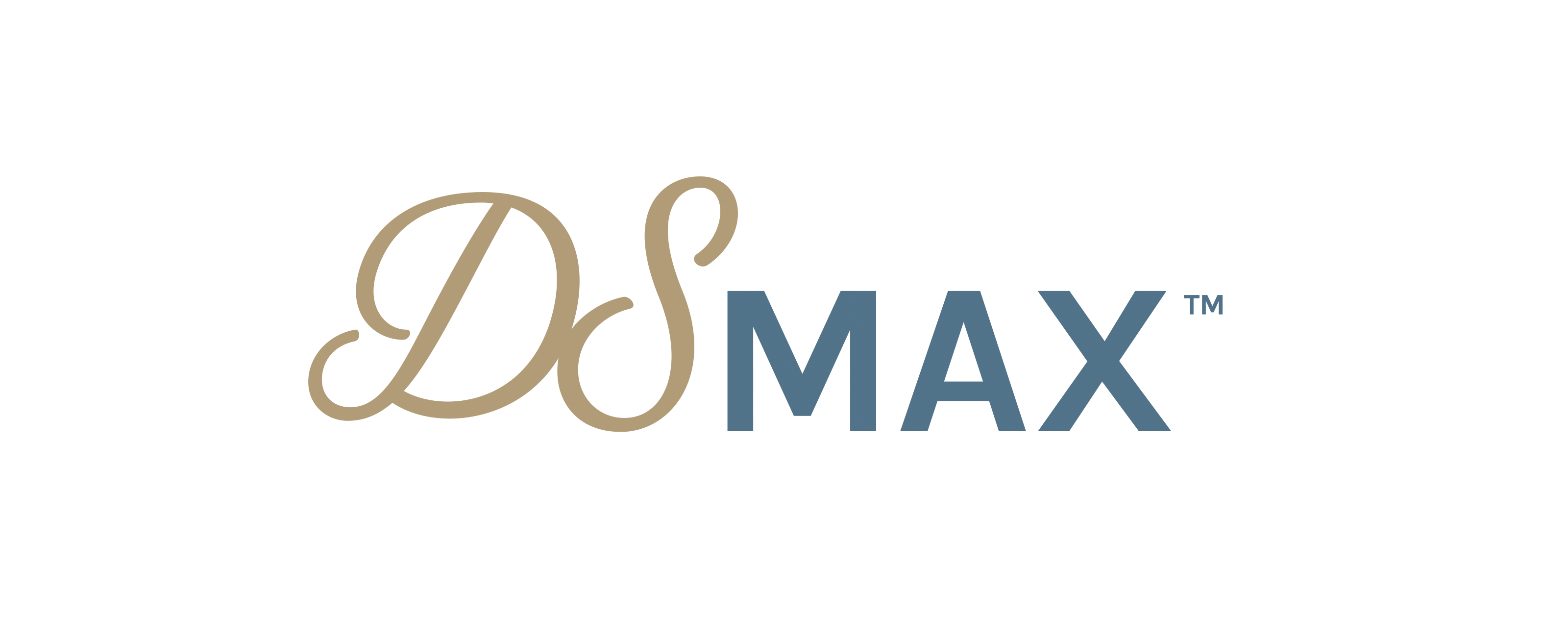 DS Max logo